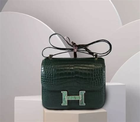 Hermes constance lizard purse